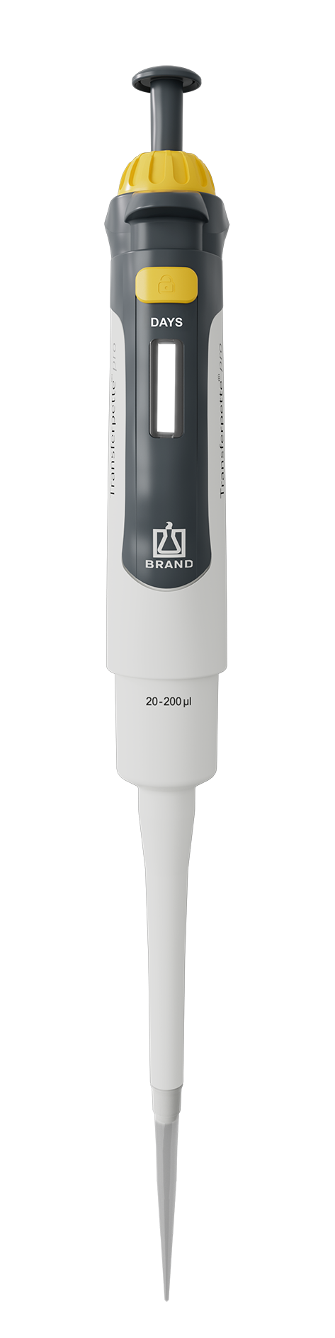 Transferpipette
