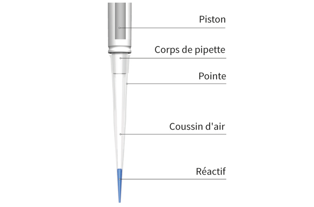 Schéma de micropipette montrant les composants étiquetés : piston, tige de pipetage, embout jetable, coussin d’air et réactif.