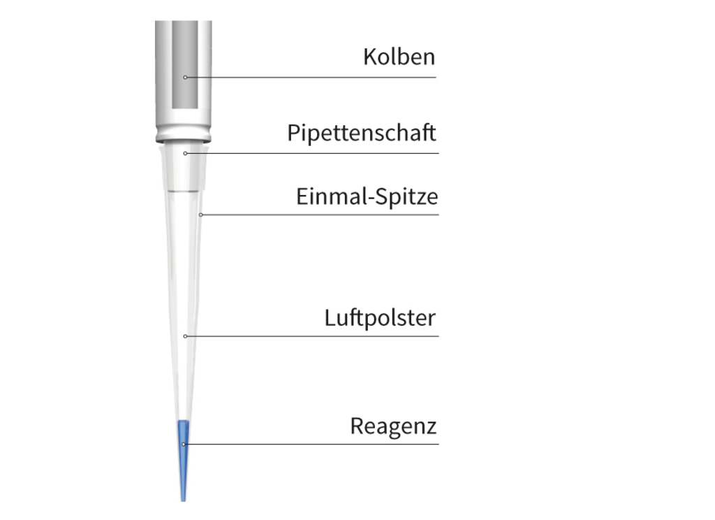 Darstellung einer Mikropipette mit markierten Teilen wie Kolben, Schaft, Einmalspitze, Luftpolster und Reagenz.