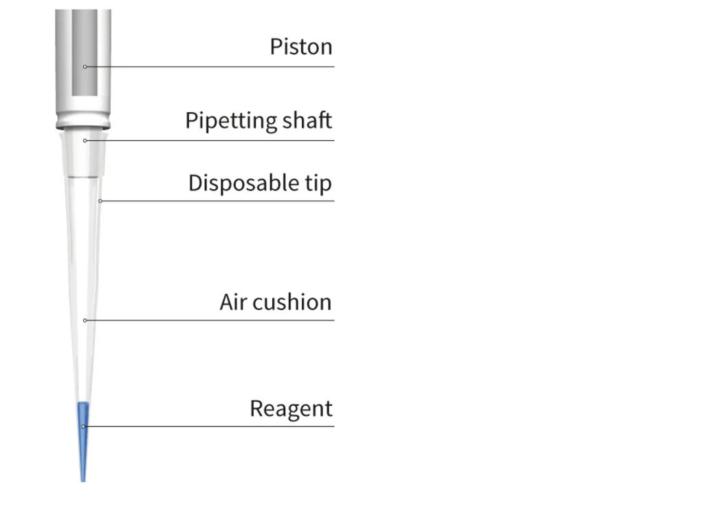 Micropipette diagram showing labeled components—piston, pipetting shaft, disposable tip, air cushion, and reagent.