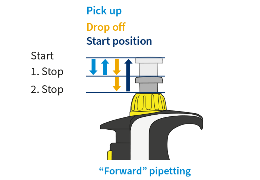 Diagram of a transferpette pipette showing the start position and first and second stop levels, with arrows indicating pick-up and drop-off movements used in forward pipetting.