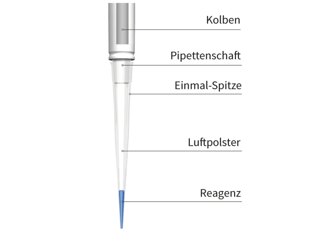 Darstellung einer Mikropipette mit markierten Teilen wie Kolben, Schaft, Einmalspitze, Luftpolster und Reagenz.